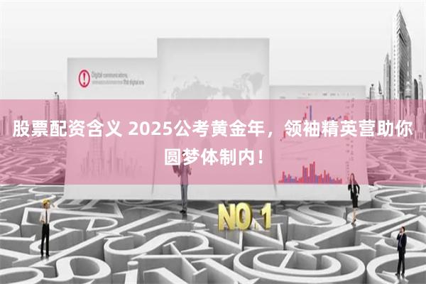 股票配资含义 2025公考黄金年，领袖精英营助你圆梦体制内！